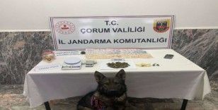 Jandarmadan uyuşturucu operasyonu