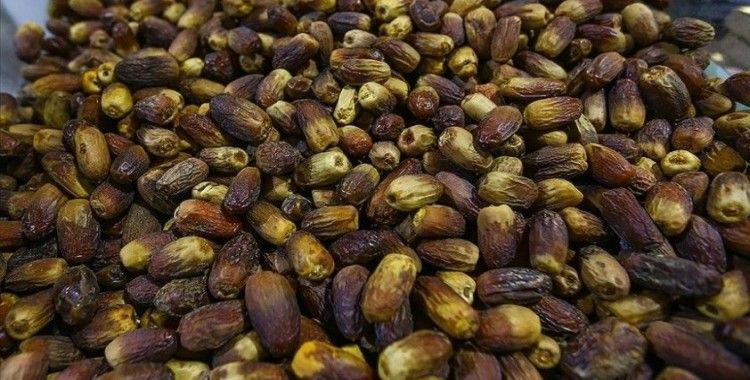 Birleşik Arap Emirlikleri, ramazan ayında depremzedelere 200 ton hurma dağıtacak