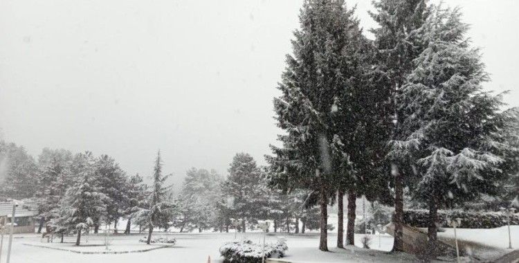 Doğaseverlerin gözdesi Abant'ta mart ayında kar sürprizi
