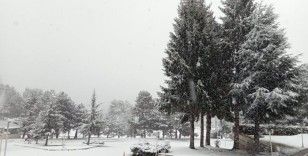 Doğaseverlerin gözdesi Abant'ta mart ayında kar sürprizi