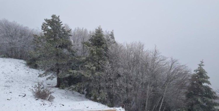 Kazdağları'nda kar yağışı başladı