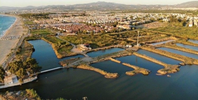 Doğaseverlerden Kocagöl için “Tabiat Parkı” statüsü talebi
