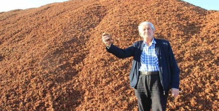 Kömür fiyatları arttı, çam fıstığı kabukları kıymete bindi
