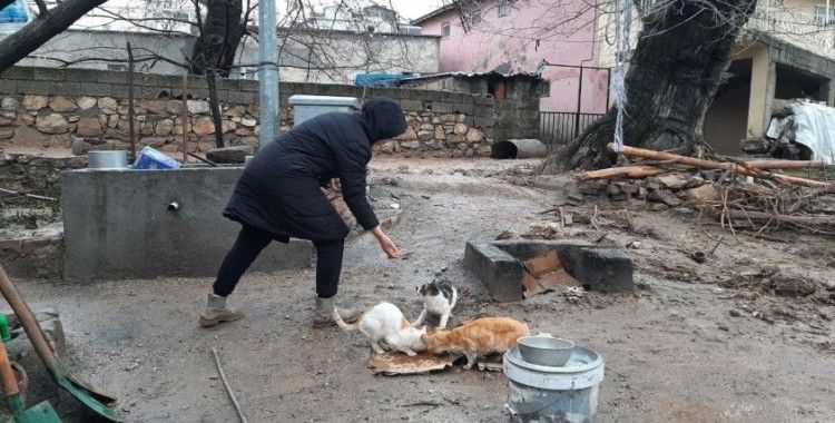 Depremden sonra sel vurdu ama o sokak kedilerini ihmal etmedi
