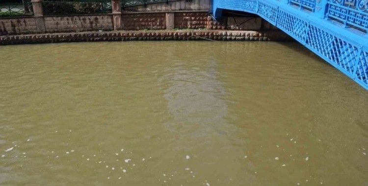 Porsuk kahverengiye büründü
