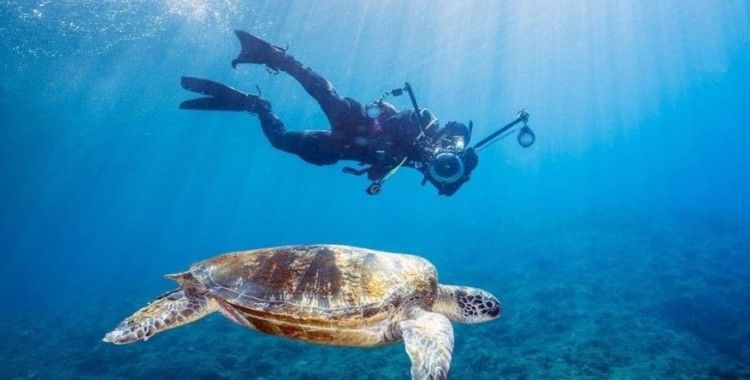 Tayvan'a gelen turistlere para ödenecek