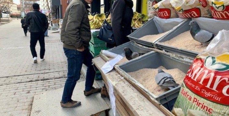 Market tezgâhını yağmalayan güvercinler
