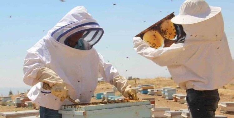 Yağışlar arıcılara bereket olacak
