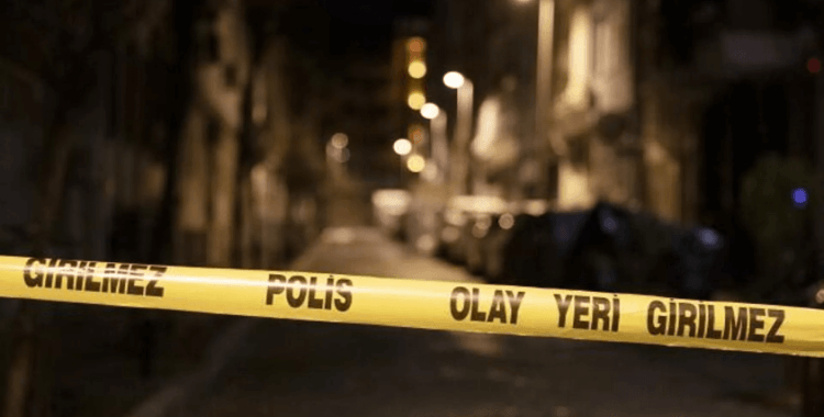 Kadıköy'de 34 kedi ölü bulundu