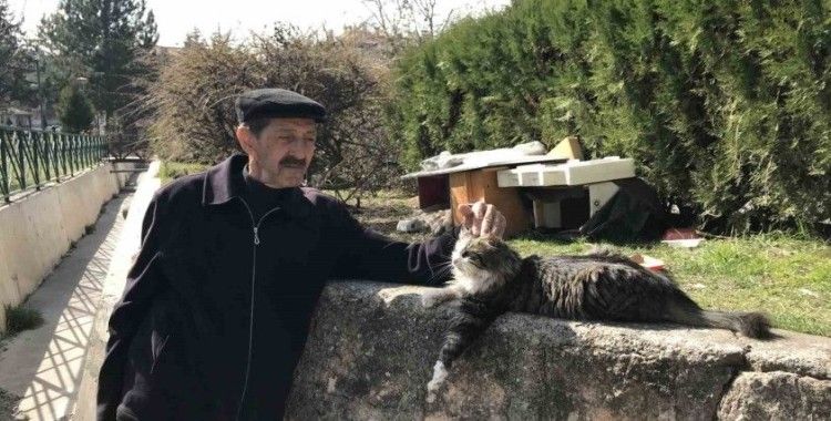 (ÖZEL) Komşularının istemediği kedileri için parka ev yaptı
