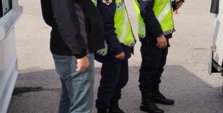 Biga’da kontrolsüz hayvan hareketlerine denetim
