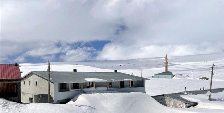 Doğu Anadolu'da kar yağışı etkili oluyor