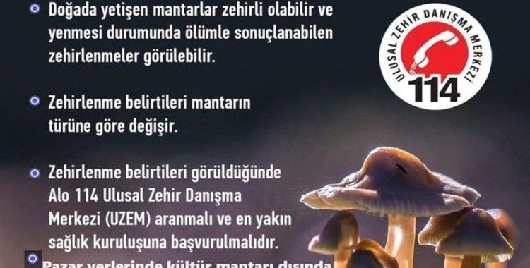 Karacasu’da türü bilinmeyen mantarların satışı yasaklandı
