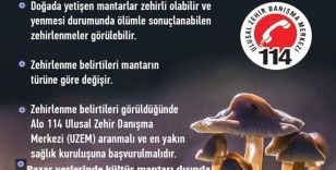 Karacasu’da türü bilinmeyen mantarların satışı yasaklandı
