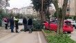Alkollü sürücü ağacı devirerek durabildi
