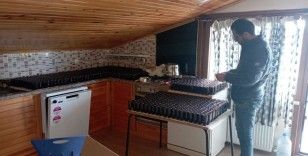Jandarma'dan kaçak çörek otu yağı operasyonu: Piyasa değeri 8 milyon TL