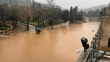 Şanlıurfa'da sele kapılan tır sürücüsü 7 gündür aranıyor