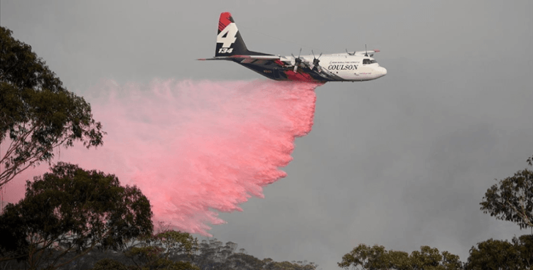 Avustralya'daki yangınlarda 100 bin hektarlık alan zarar gördü