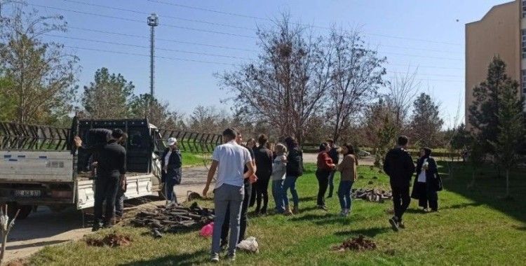 Dicle Üniversitesi, hayatını kaybeden personel ve öğrencileri adına hatıra ormanı oluşturdu
