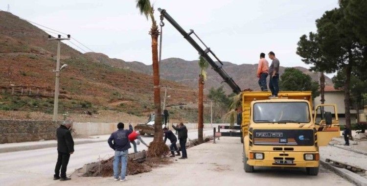 Marmaris’te palmiyeler toprakla buluştu
