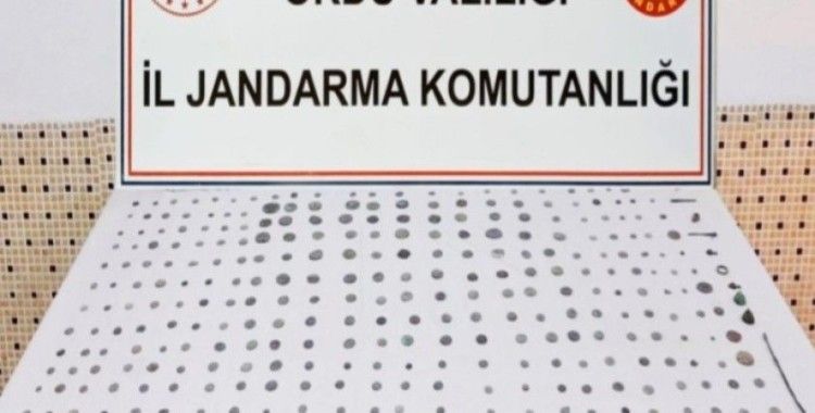 Ordu’da Roma dönemine ait 293 sikke bulundu
