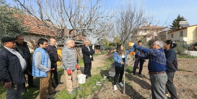 Pamukkale Belediyesinden budama ve aşılama kursu
