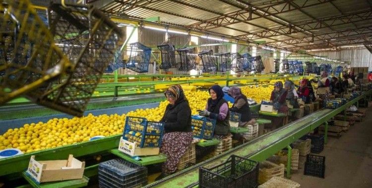 Mersin’den deprem bölgesine 160 ton narenciye ürünü gönderildi
