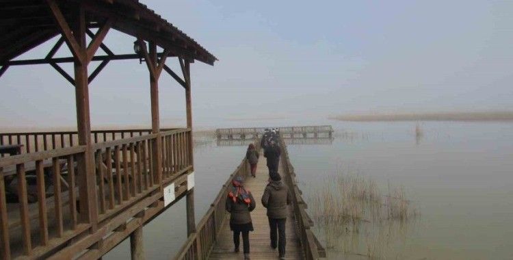 Öğrenciler Efteni Gölünde kuşları gözlemledi
