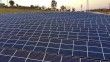 Geçen yıl üretilen elektriğin yüzde 5'i güneş santrallerinden geldi