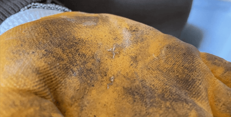 Kahramanmaraş'taki kuyumcular iş yerlerini boşaltırken altın çöplerini de topluyor