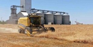 Denizli’de son 10 yılda 670 tarım yatırımına 301 milyonluk hibe desteği verildi
