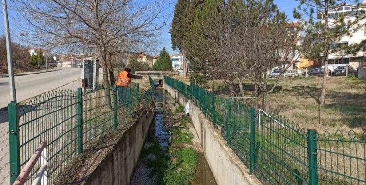 Gediz’de Larva ile mücadele devam ediyor