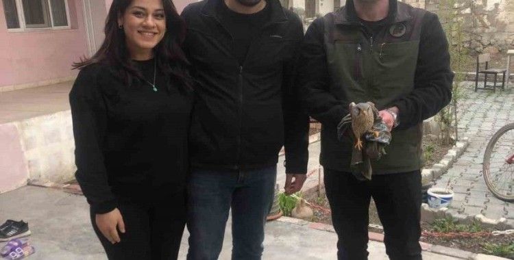 Yaralı bulunan kerkenez kuşu tedavi altına alındı
