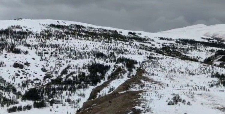 Aşkale bahar mevsiminde beyaza büründü
