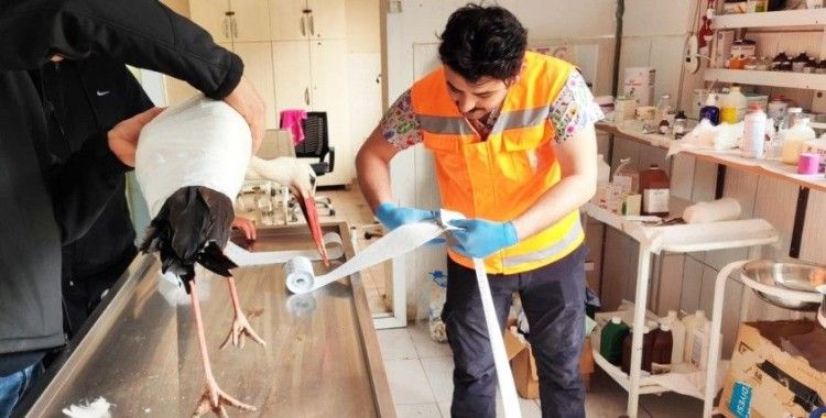 Keçiören Belediyesi binlerce afetzede canlıyı tedavi etti
