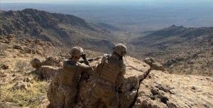 Gri kategoride aranan PKK'lı terörist Şırnak'ta yakalandı