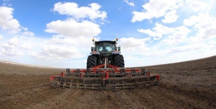 Konya Büyükşehir 800 bin metrekarelik araziye aspir bitkisi ekti