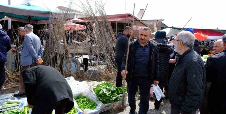 Erzincan’da meyve fidanı satışı başladı

