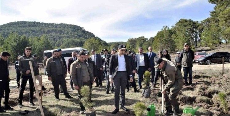 Domaniç’te 250 karaçam fidanı toprakla buluştu
