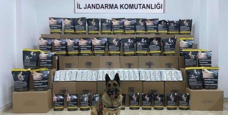 Bingöl'de 76 kilo kaçak tütün ele geçirildi: 1 gözaltı