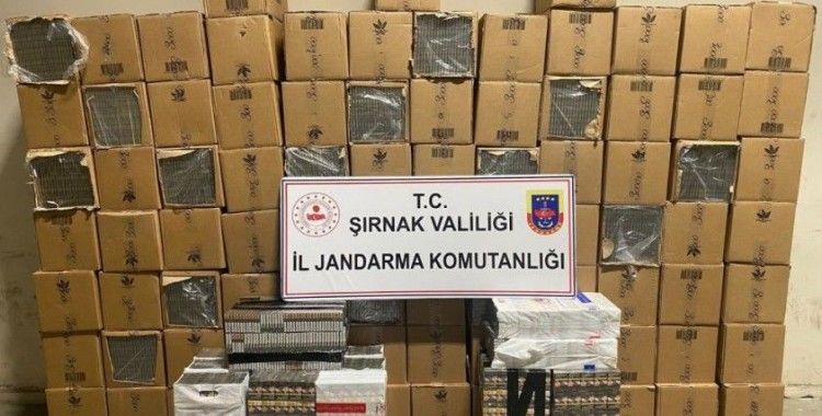 Şırnak'ta 48 bin 900 paket gümrük kaçağı sigara ele geçirildi