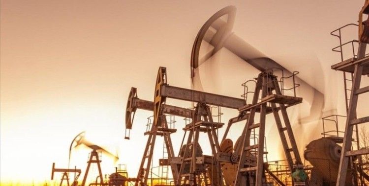 Rusya, 2022'de Hindistan'a petrol sevkiyatının 22 kat arttığını duyurdu