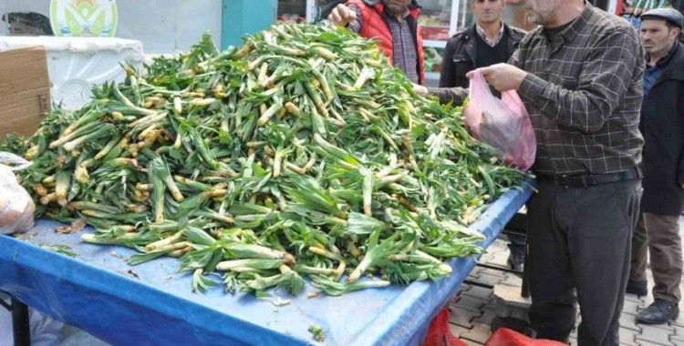 Şifa kaynağı ’Çiriş’ otu tezgahlardaki yerini aldı
