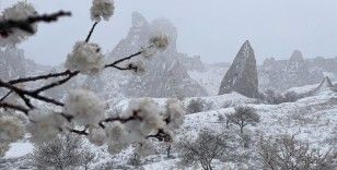 Kapadokya'da etkili olan kar yağışı, baharda açan çiçekleri beyaz örtüyle kapladı