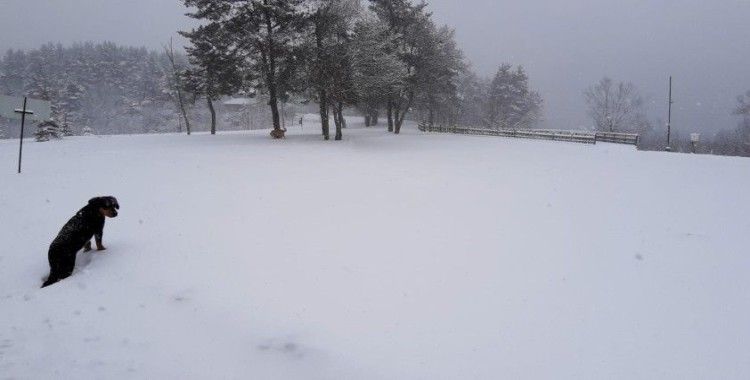 Abant'ta kar kalınlığı 15 santimi geçti