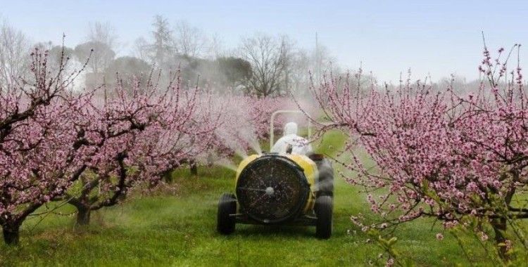 Çiftçilere yabancı otla mücadele uyarısı
