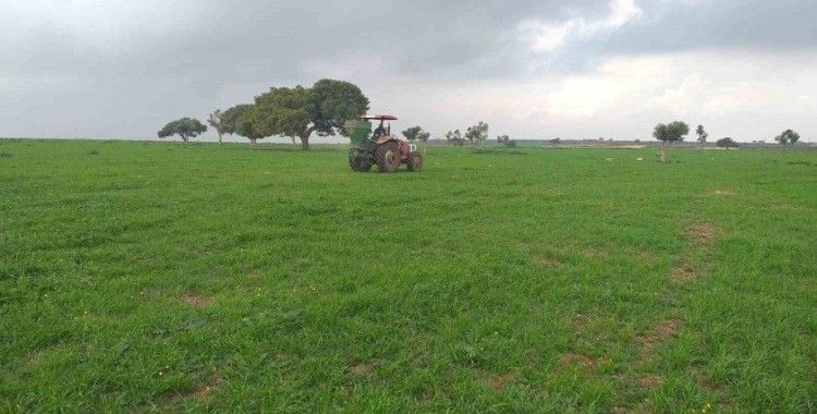 Adana’da meralarda ilkbahar gübrelemesi yapıldı
