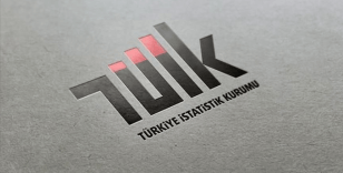 TÜİK'teki bazı daire başkanlıklarının isim ve görevlerinde değişikliğe gidildi