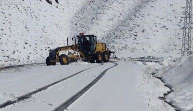 Kar yağışı ulaşımda aksamalara neden oldu