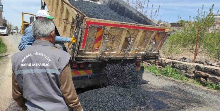 Büyükşehir’den kırsalda arazi ve yayla yolları bakım onarım çalışması
